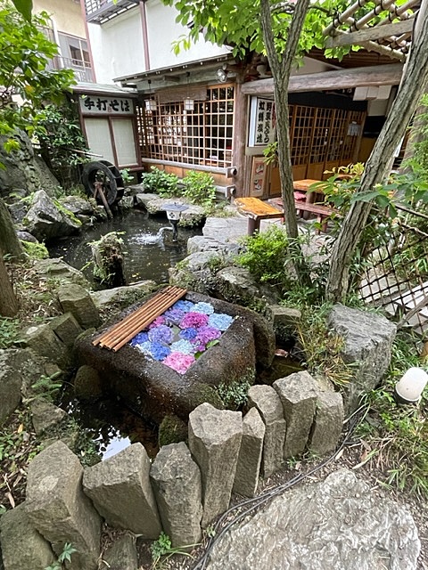 2024/05/12 新緑の深大寺👘穴場をお散歩