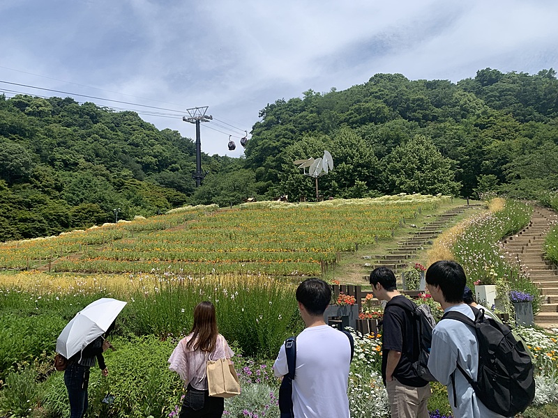 2024/06/08@布引ハーブ園