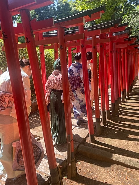 2024/06/16 【根津〜谷中】 寺社仏閣＆下町の昭和情緒を満喫！