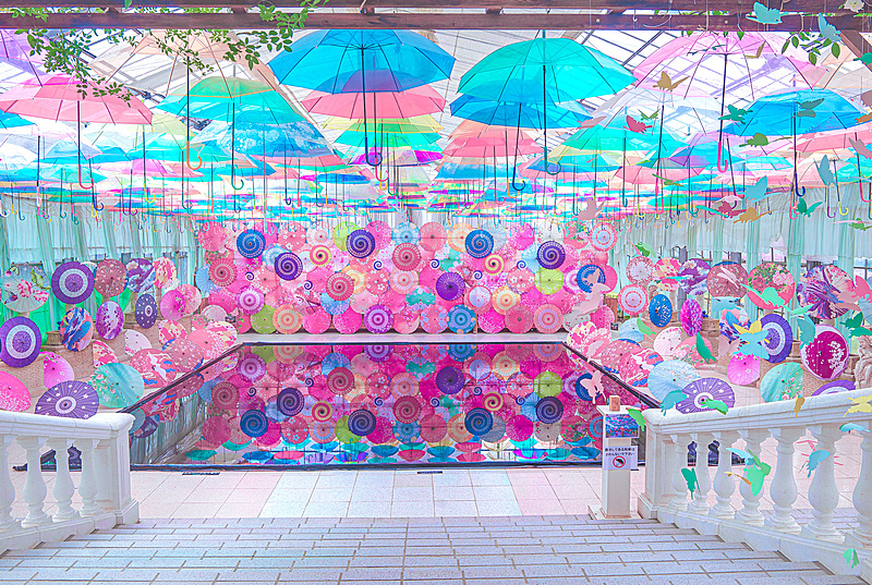 2024 東北桜旅