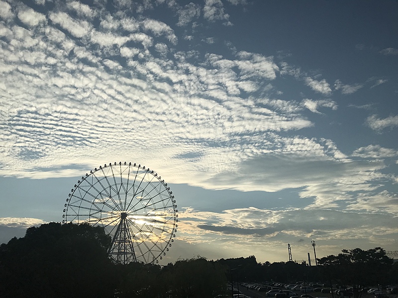 本気のBBQとスイカ割り🍉!