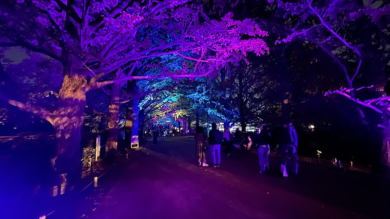 2024/11/10昭和記念公園イルミネーション