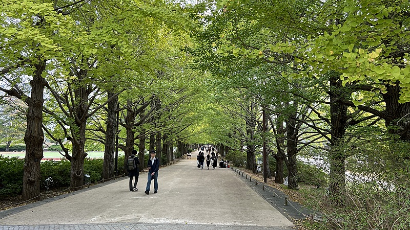 2024/11/10昭和記念公園