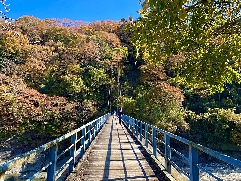 2024/12/01 山北町 大野山
