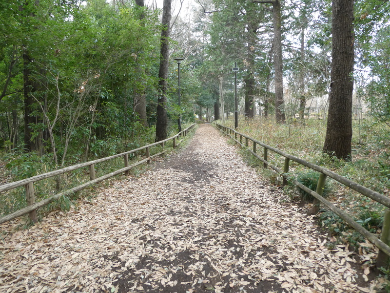 石神井公園でウォーキングしよう