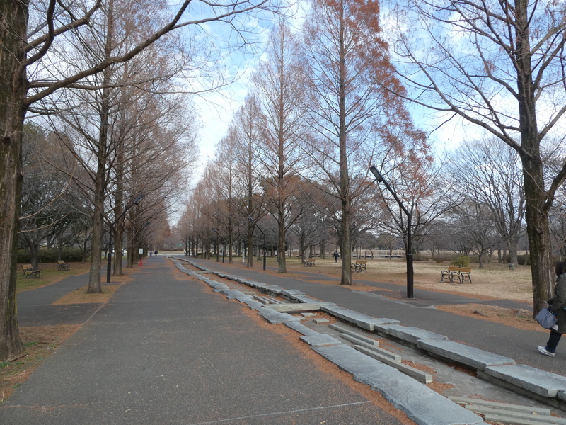 舎人公園でウォーキング＆写真撮影しよう！（2025冬）