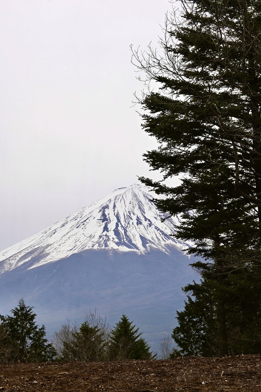 2025/04/20 足和田山