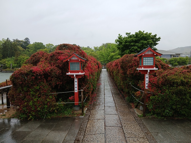 長岡京歴史散歩