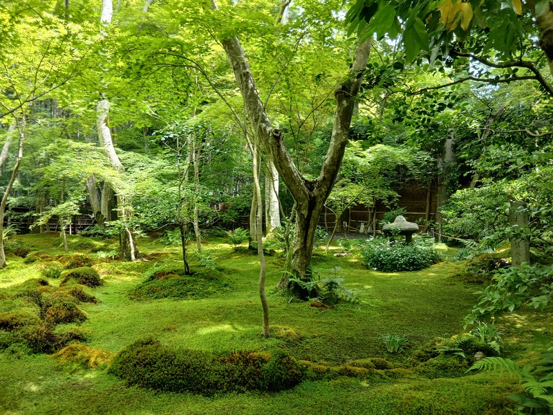 2025.6.01　奥嵯峨・新緑ウォーキング