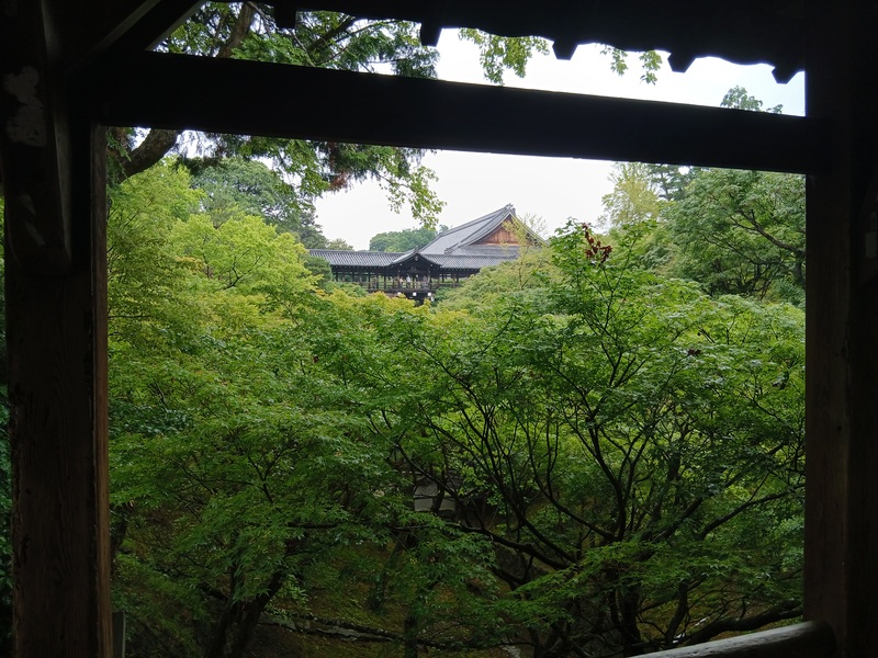 2025.6.14  東福寺・藤森神社あじさい散策