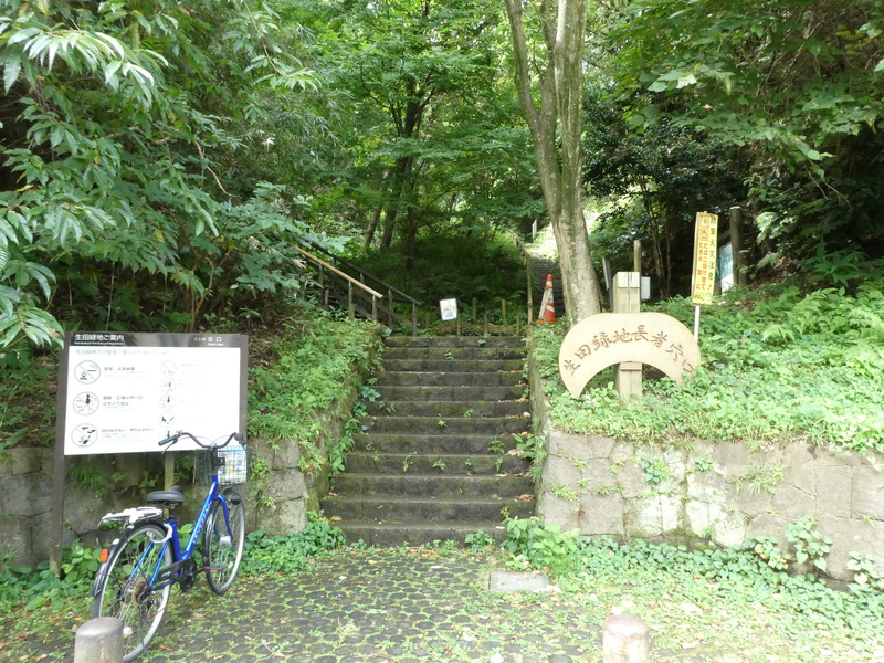 生田緑地で森林浴しよう (2025夏の部①)