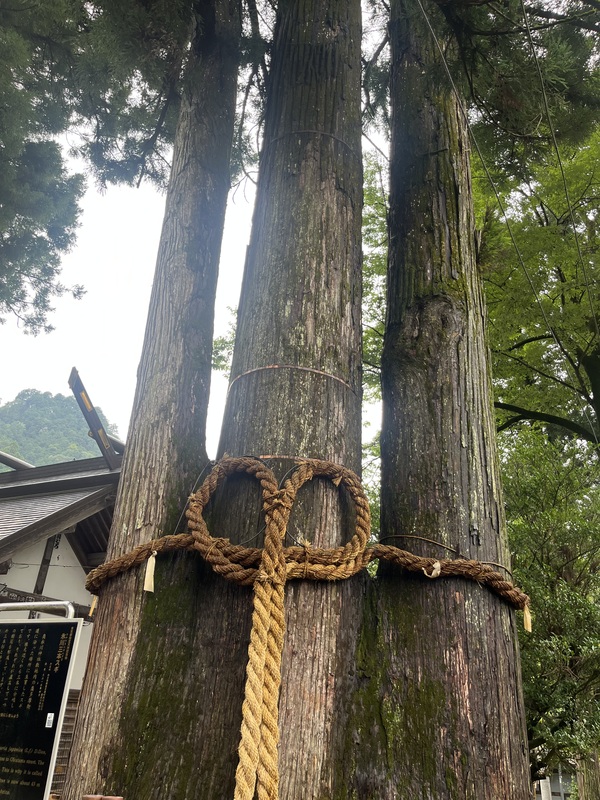 2025/09/13日原鍾乳洞