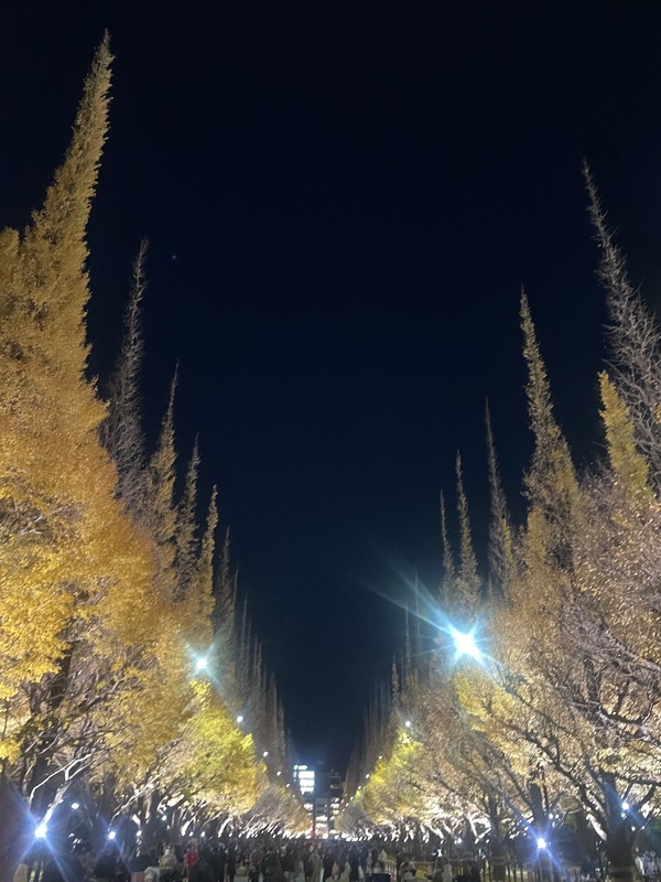 2025/11/28神宮外苑