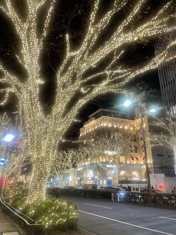 2025/12/12 Cafe & Dining ZelkovA／ザ ストリングス 表参道