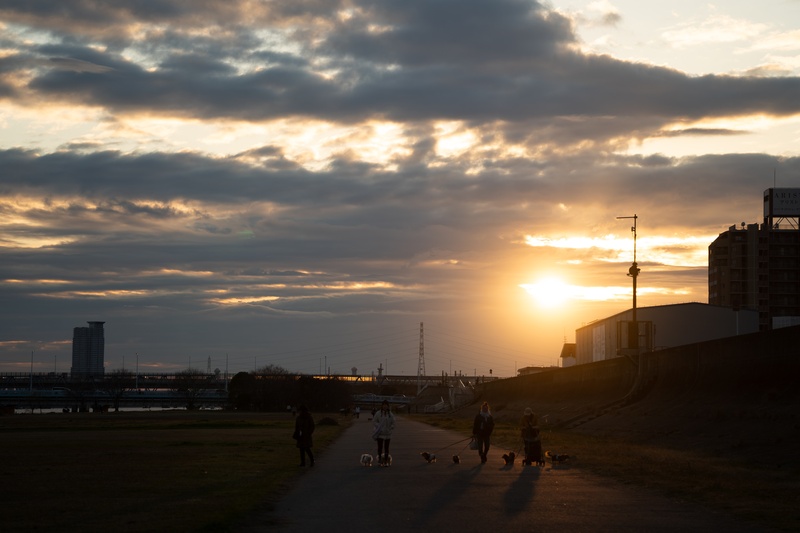 2025/12/29河川敷の公園に夕日を見に行こう