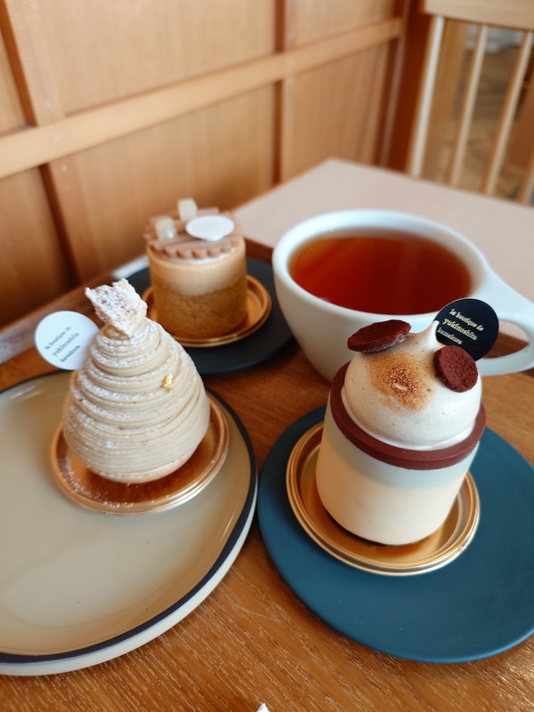 ユキノシタカマクラ　2026/01/16