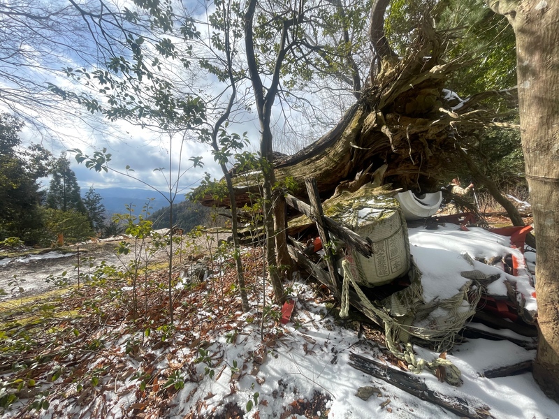 2026/02/01 愛宕山🏔️おでんと日本酒
