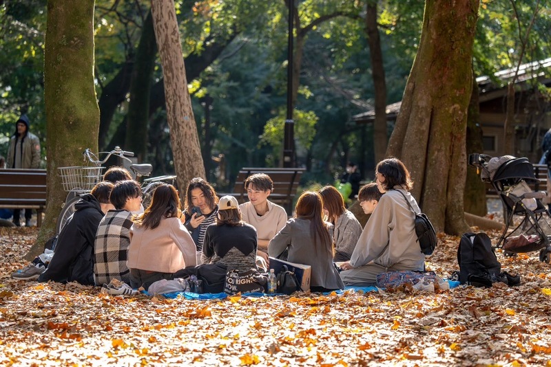 紅葉ピクニック🍁
