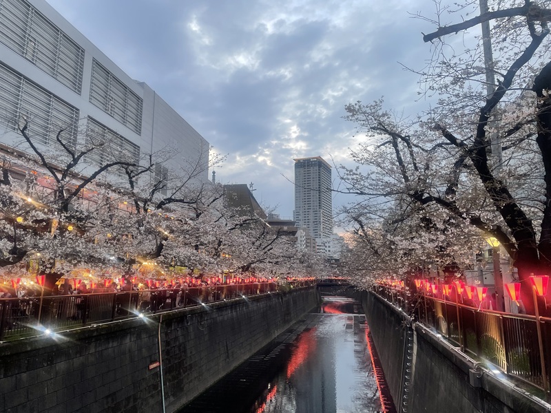 2026/03/28中目黒花見飲み散歩