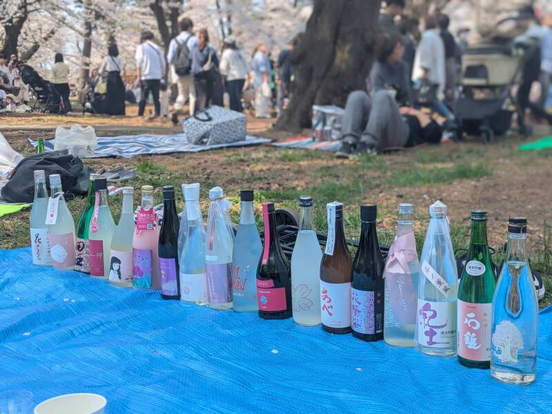 2026/03/29　お花見日本酒会