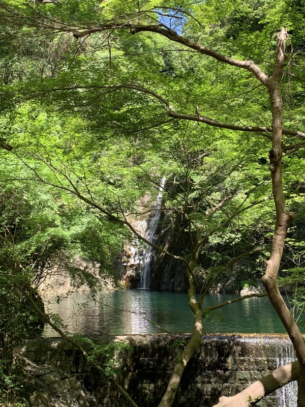 2026年5月　再度山
