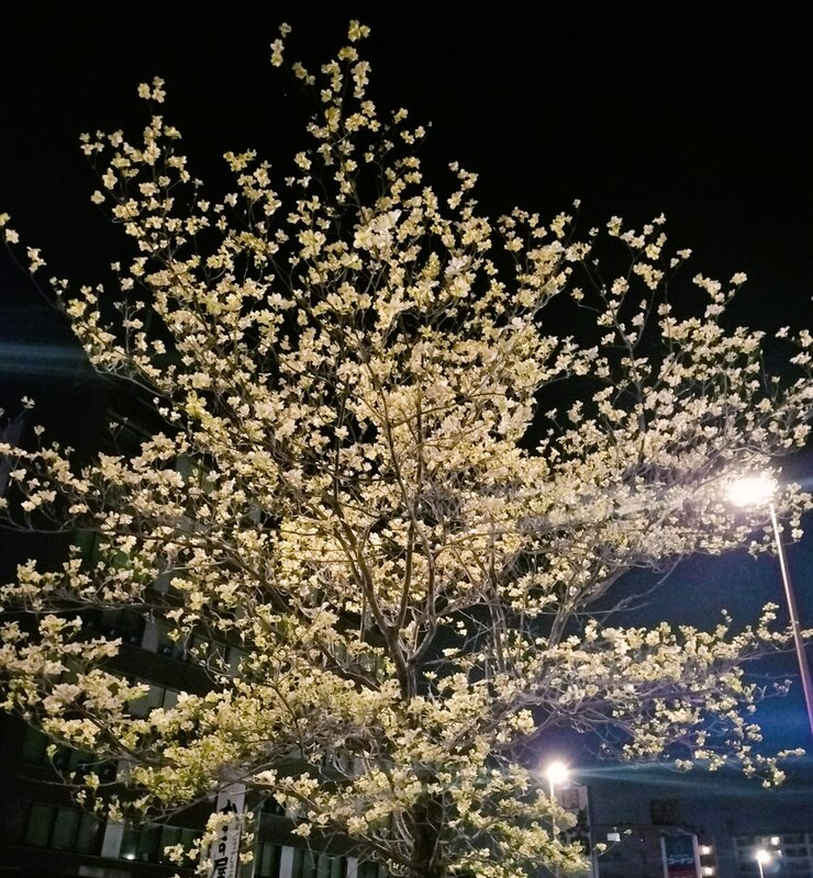 風景写真