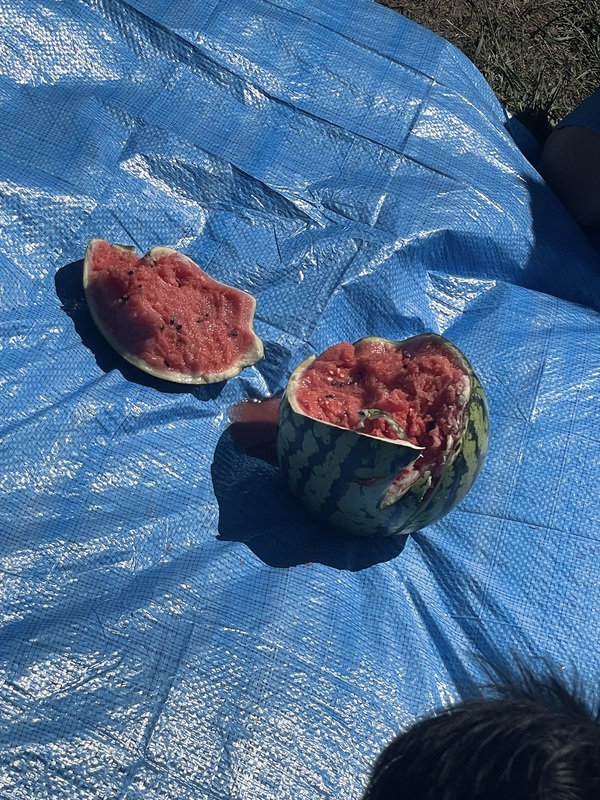 海BBQ