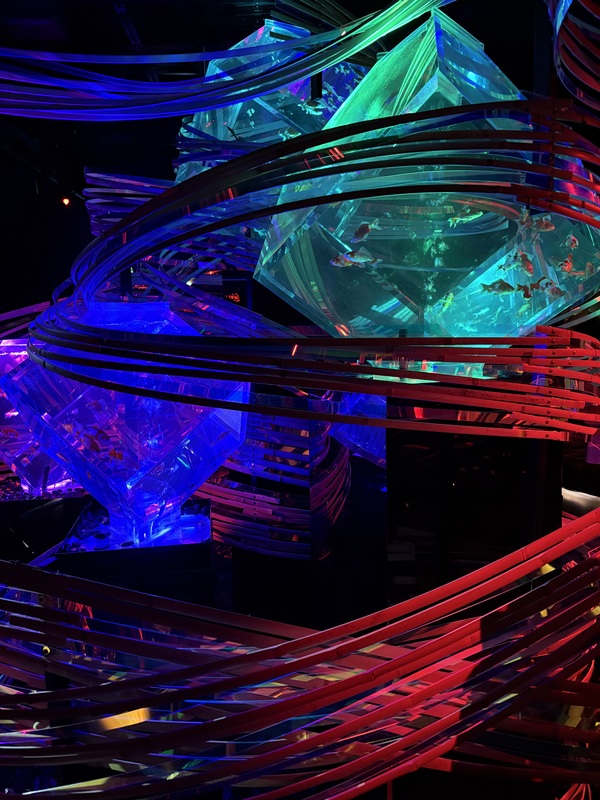 2026/07/04 銀座三越　アートアクアリウムGINZA
