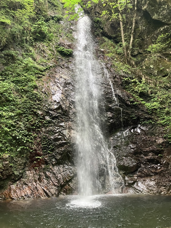 2026/06/14 大岳山