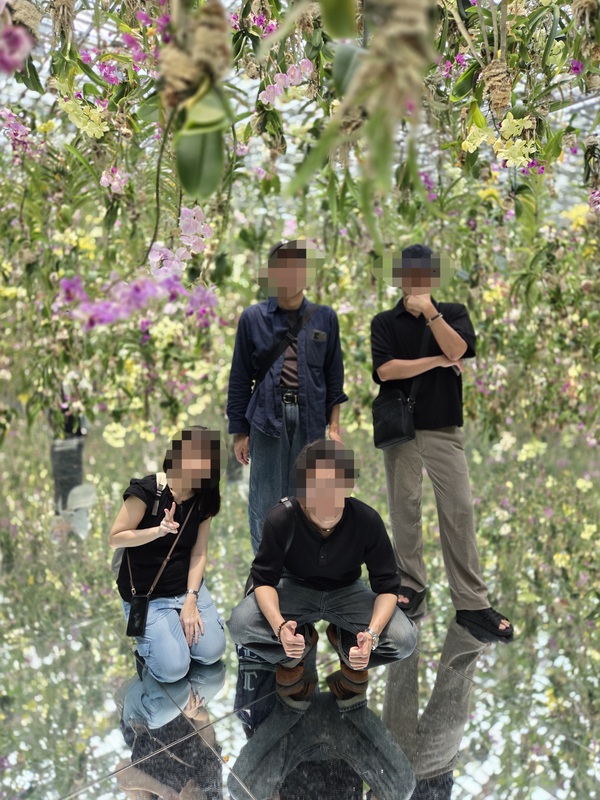 2026/09 /27 　豊洲teamLab