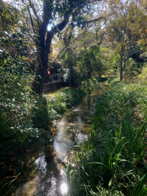 2026/10/17