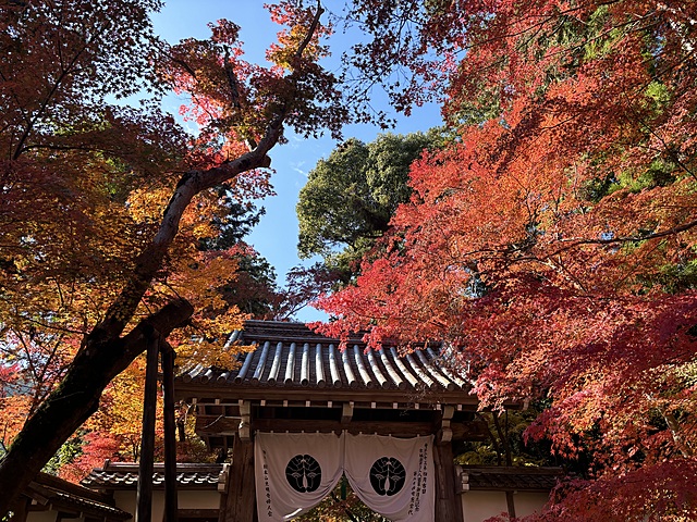 光明寺フォトウォークイベント活動報告