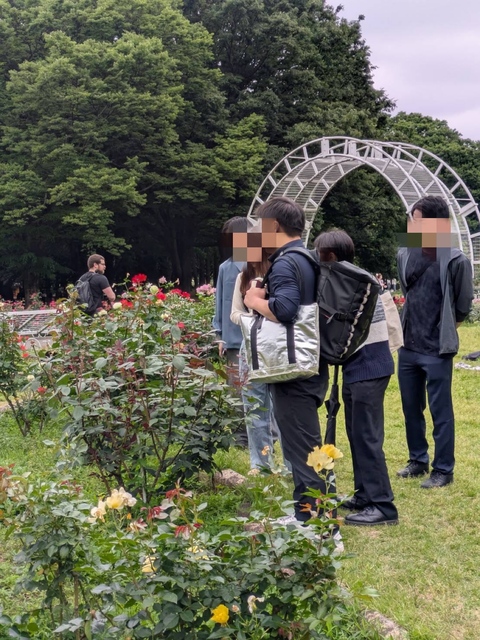 代々木公園、春バラ🌹散策&テコナベーグル🥯