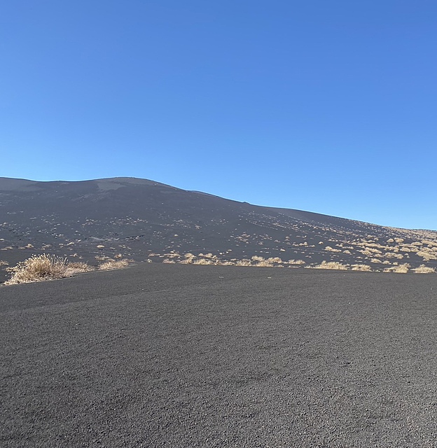 伊豆大島一周&椿祭り