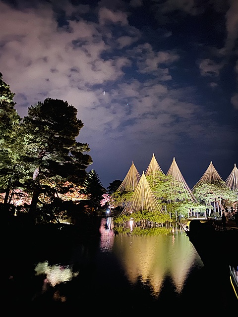 11月の活動ブログ