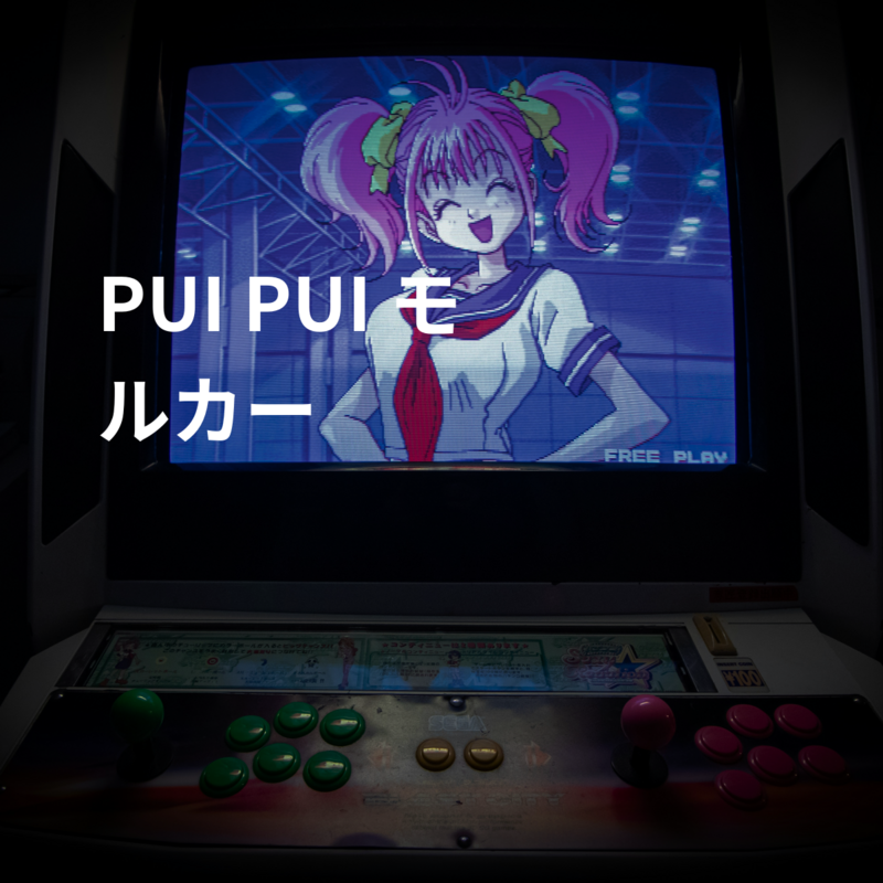 PUI PUI モルカー