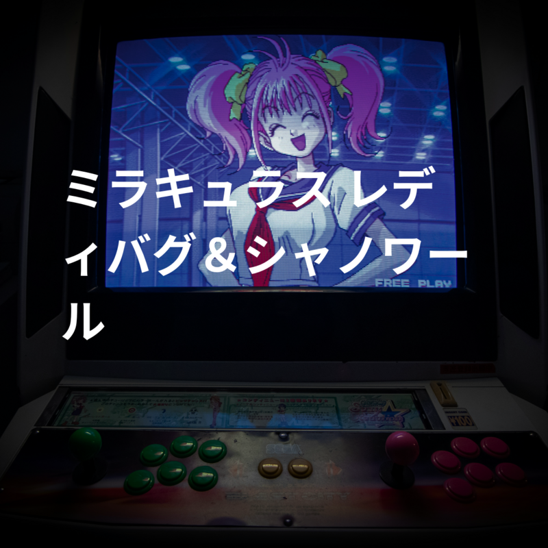 ミラキュラス レディバグ＆シャノワール