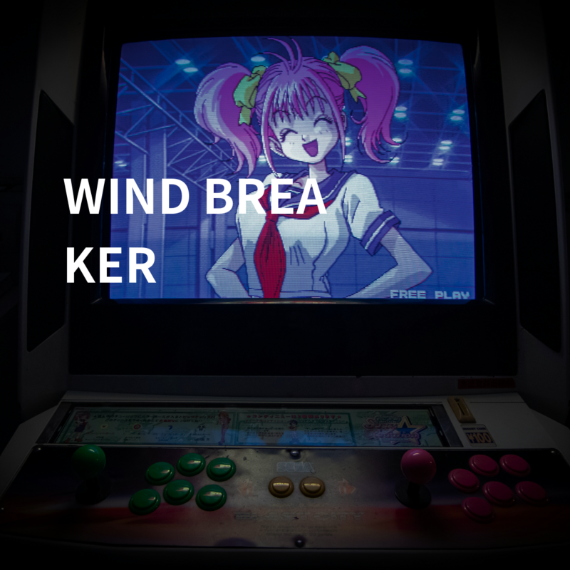 WIND BREAKER