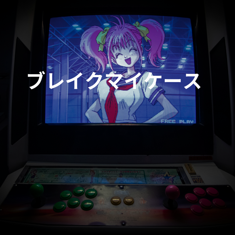 ブレイクマイケース
