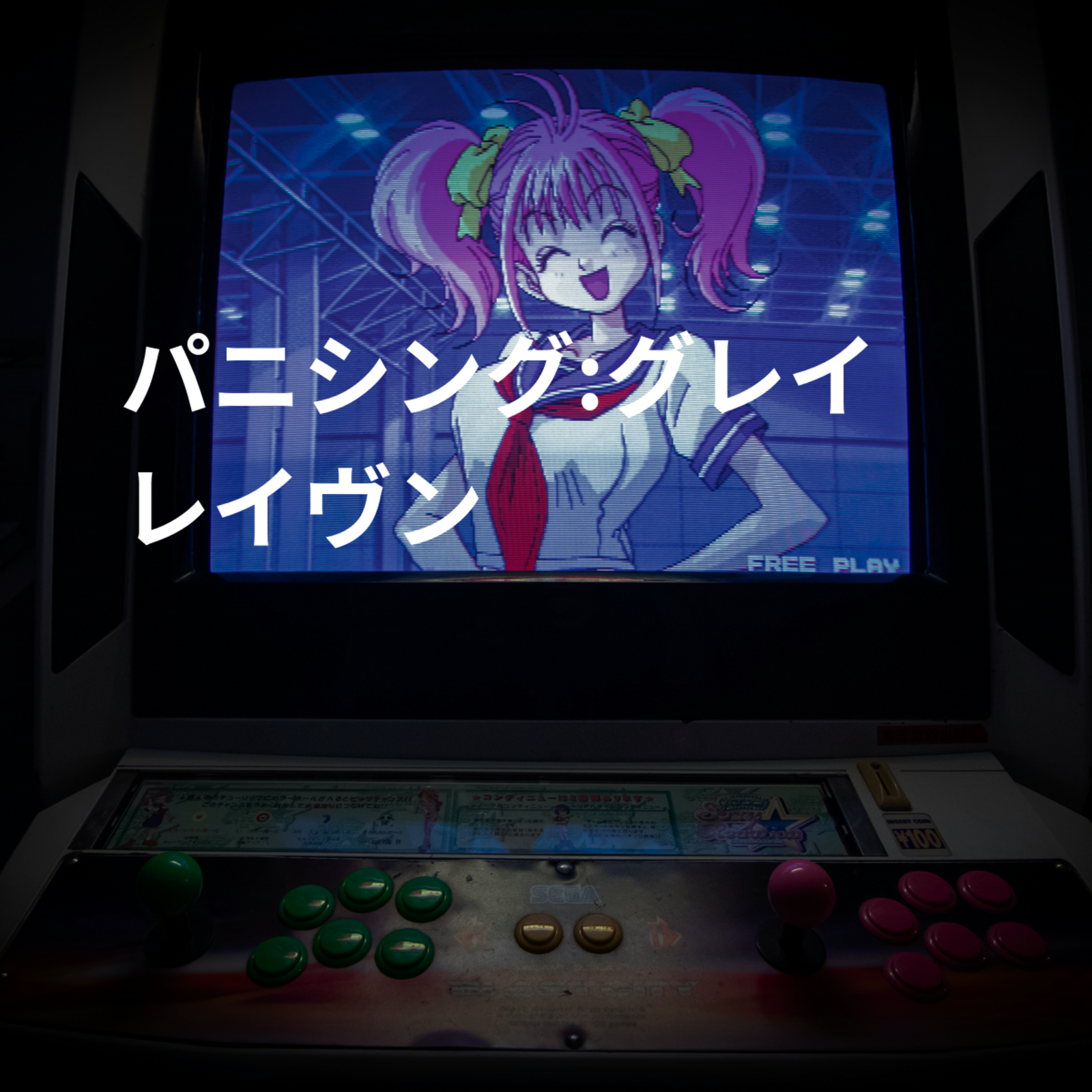 パニシング:グレイレイヴン