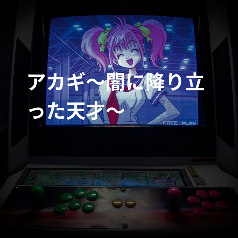 アカギ～闇に降り立った天才～