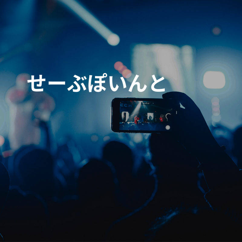 せーぶぽいんと