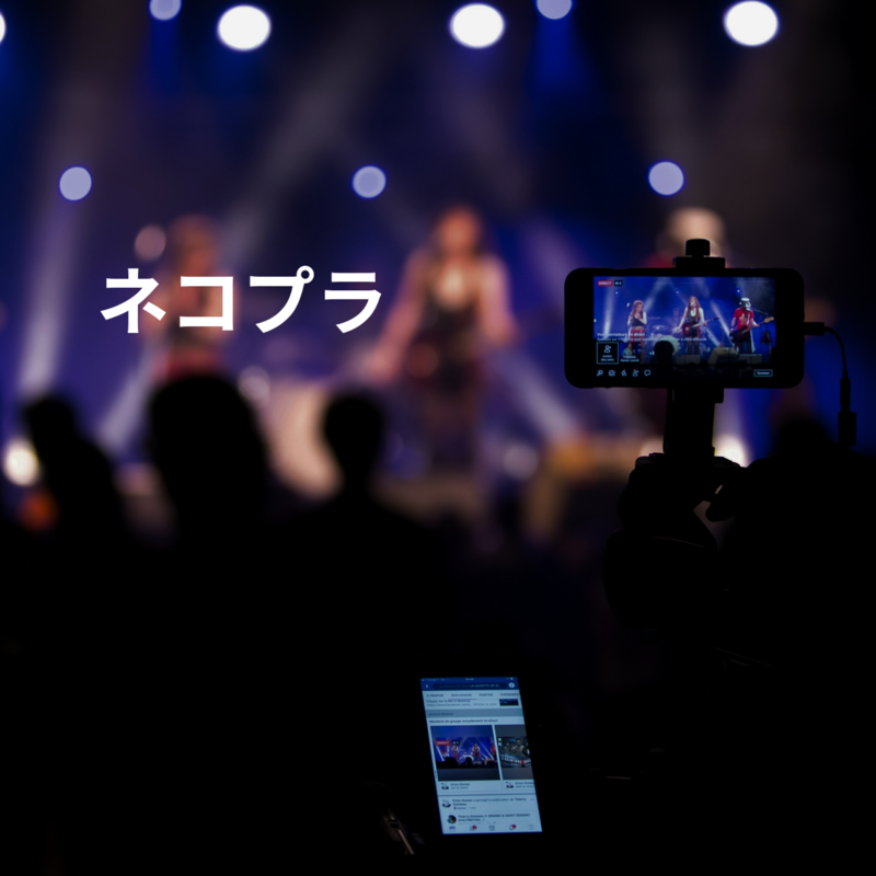 ネコプラ