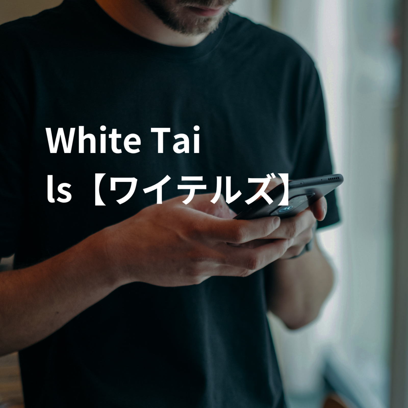 White Tails【ワイテルズ】