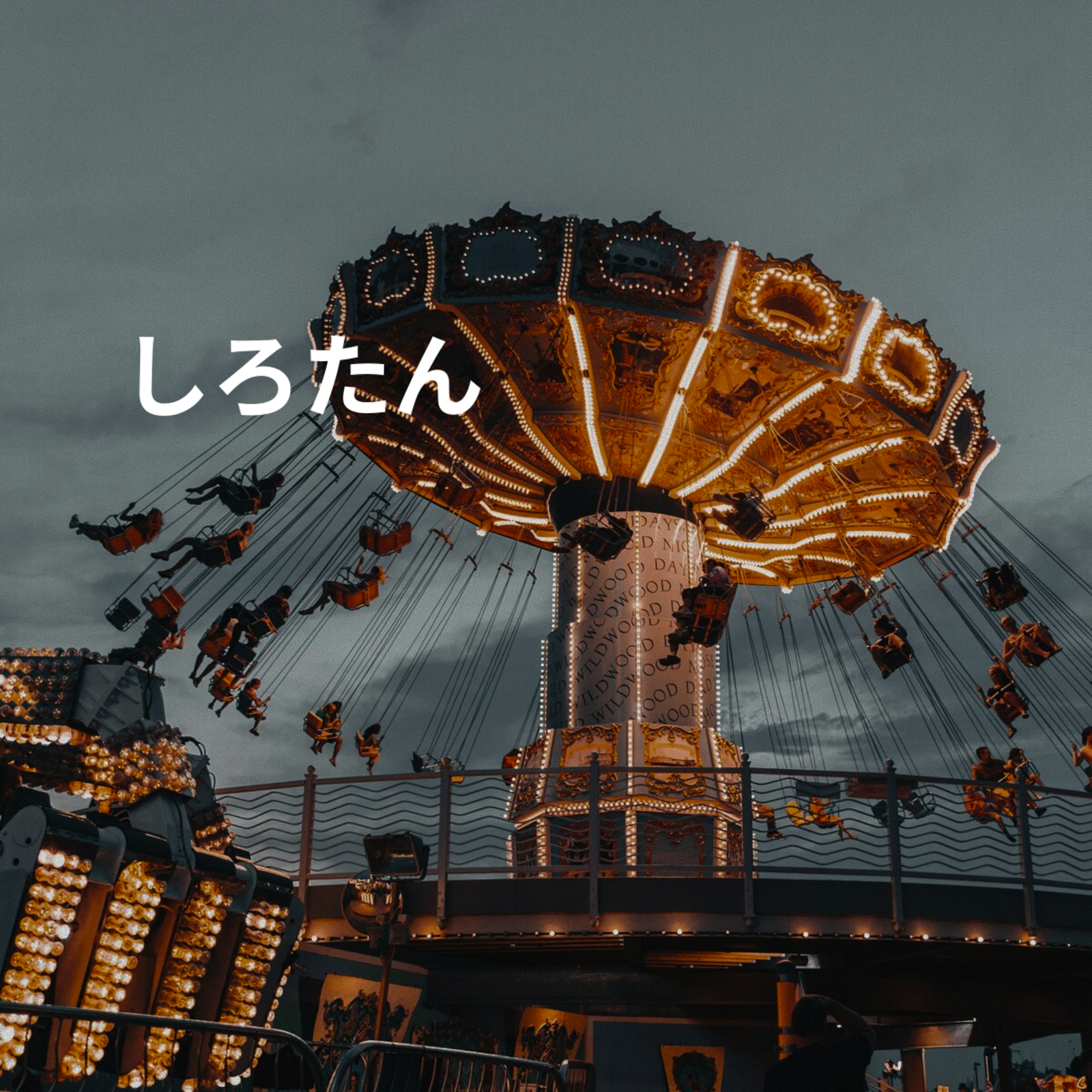しろたん