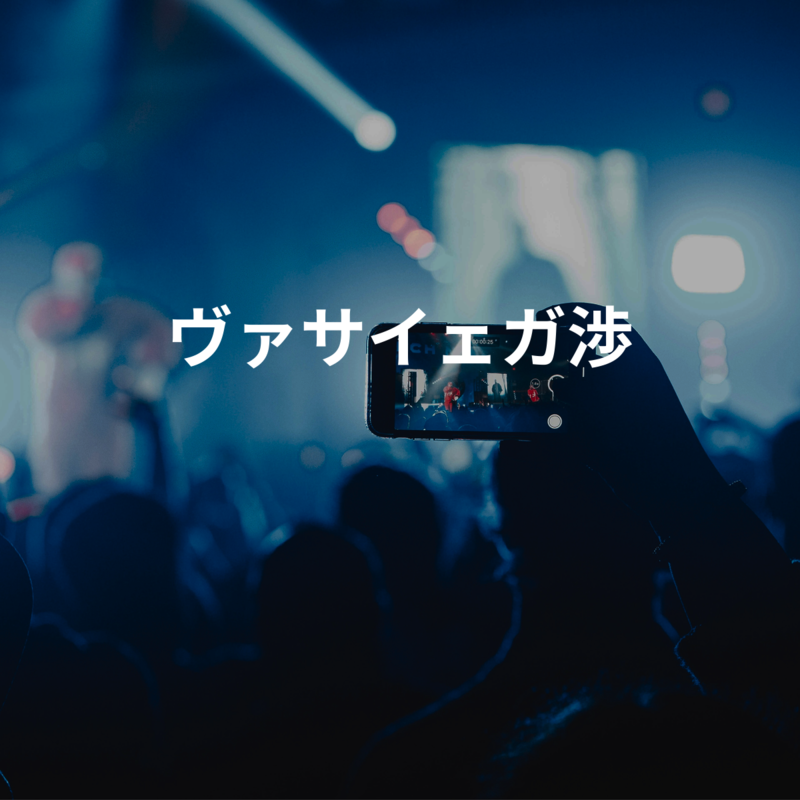 ヴァサイェガ渉