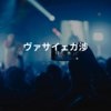 ヴァサイェガ渉