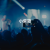 小柴陸
