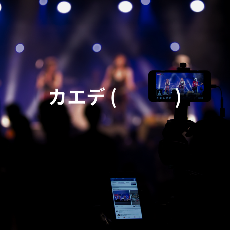 カエデ (카에데)