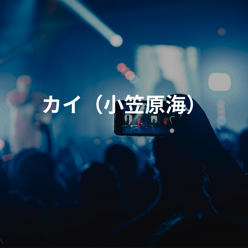 カイ（小笠原海）